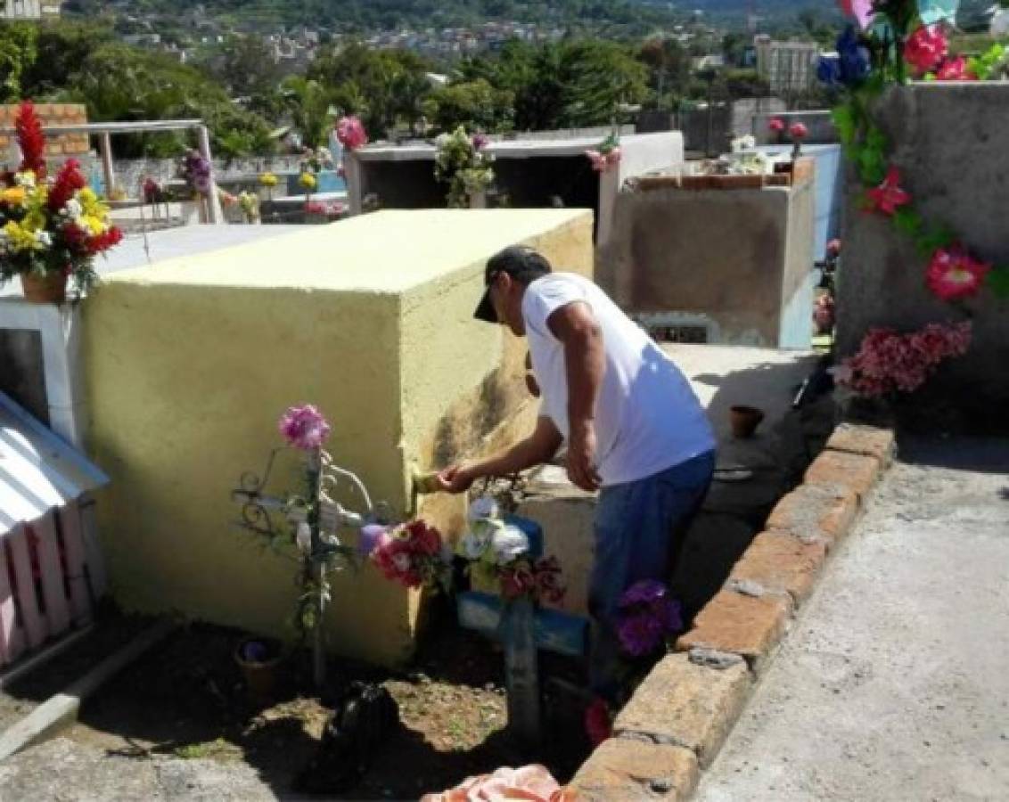 Anciano muere tras ser atacado por abejas en el Cementerio General de la capital de Honduras