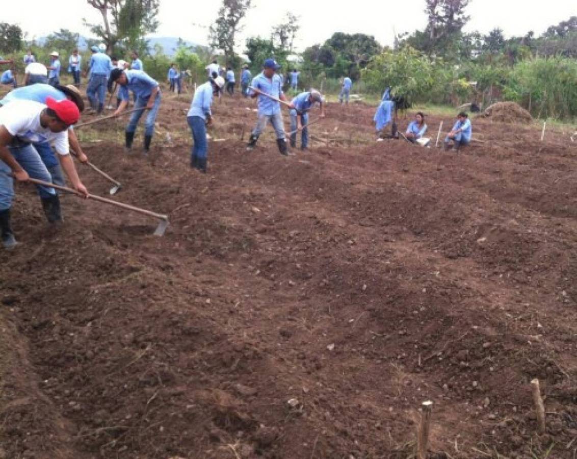 Honduras: Ya está en la ENAG decreto que crea la Interventora de la UNA