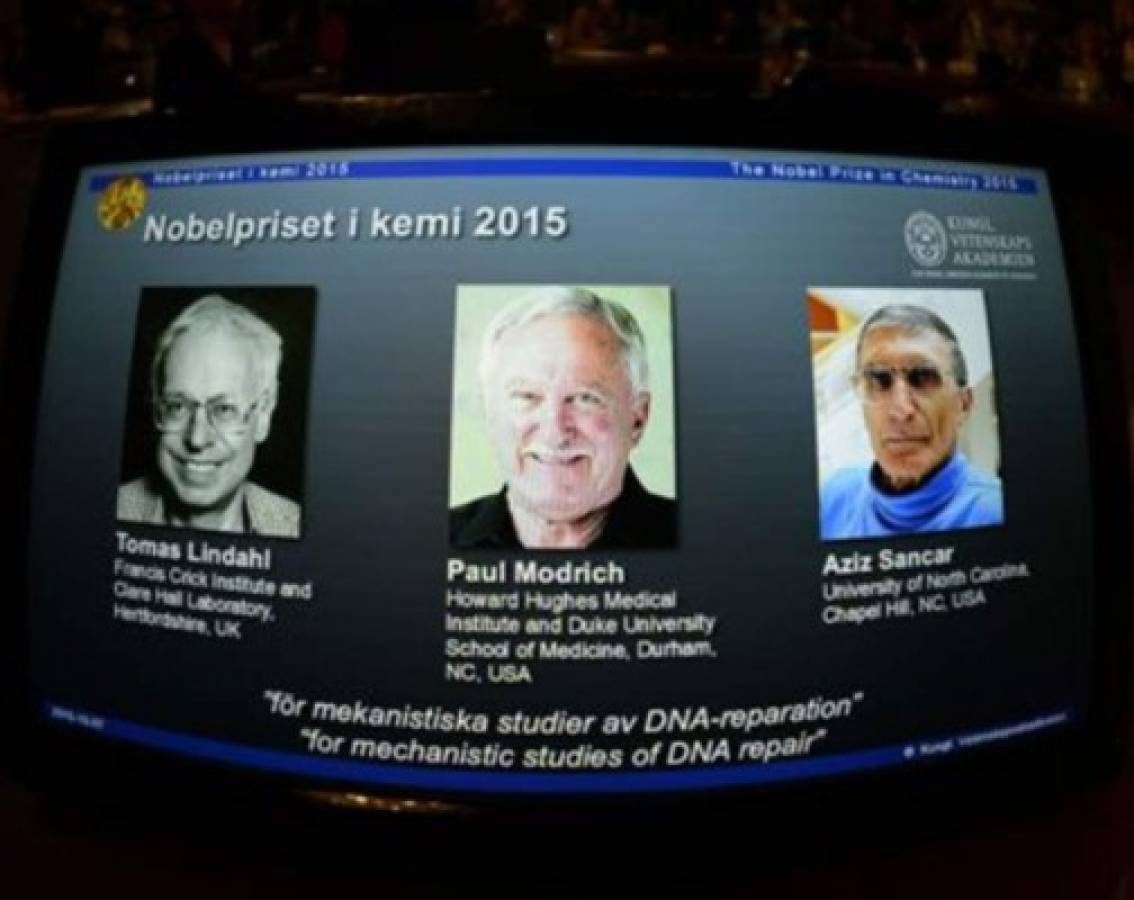 Nobel de Química para tres científicos por su trabajo sobre reparación del ADN