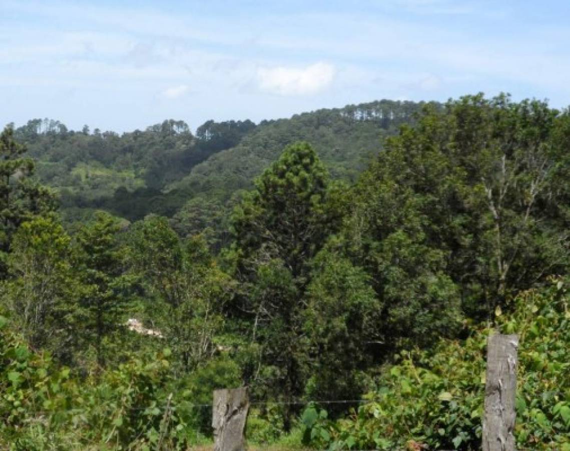 Gestores de La Tigra y Yerba Buena a la espera de fondos de la Ecotasa