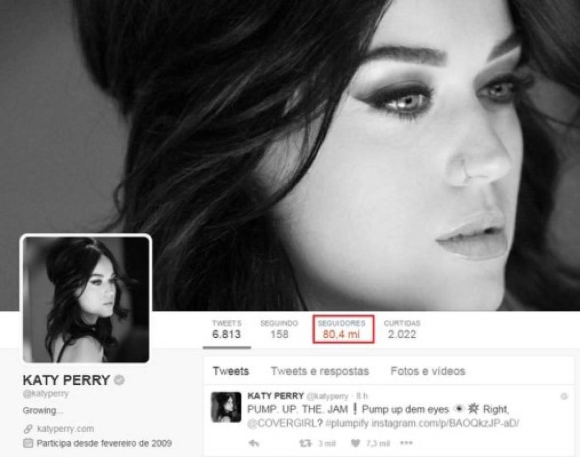 Katy Perry es considerada la reina de Twitter