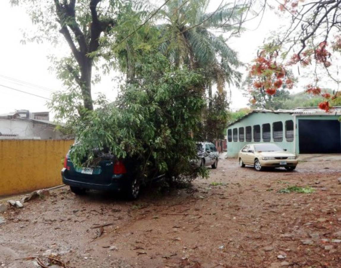 Lluvias con granizo y fuertes vientos sobre Tegucigalpa