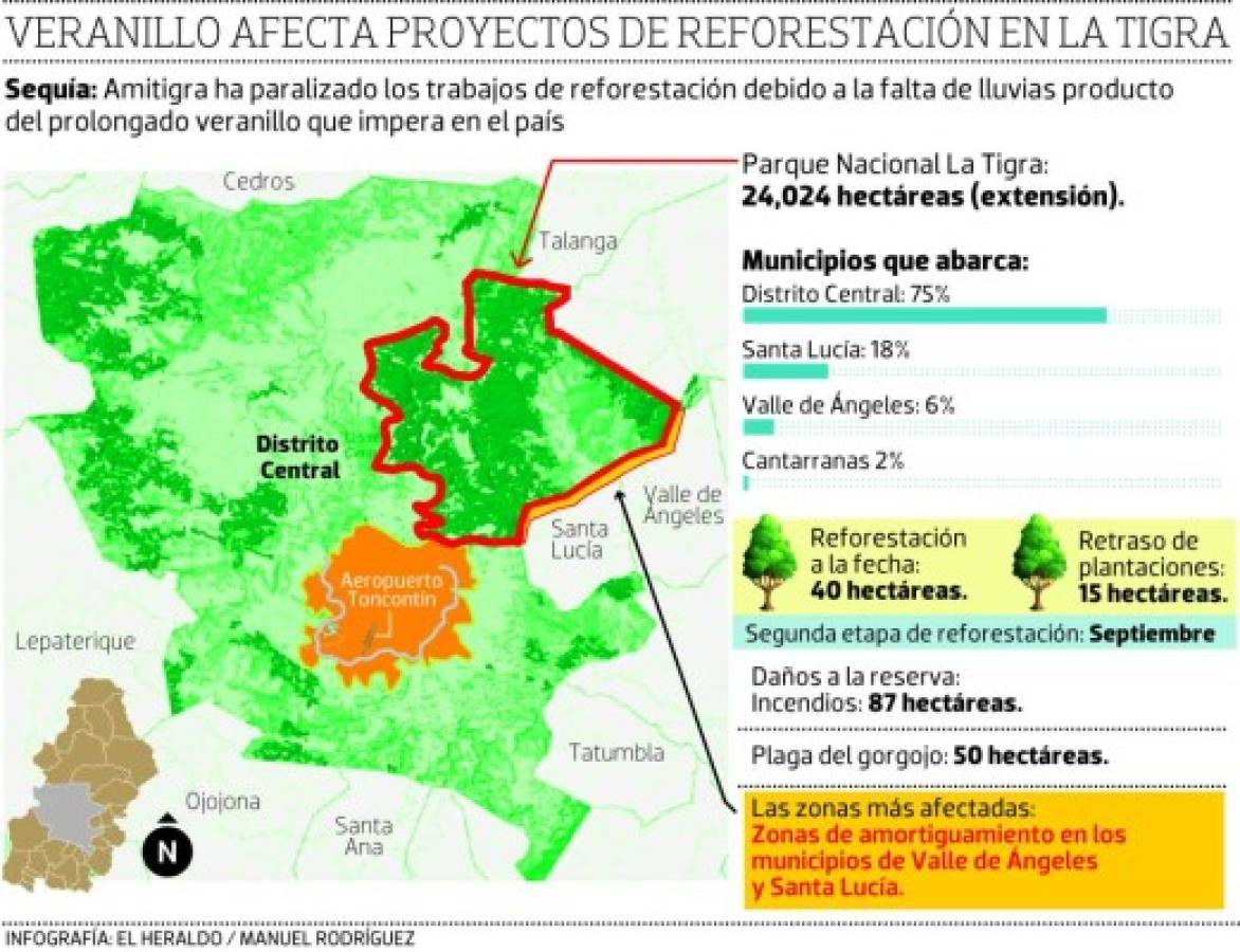 Paralizada reforestación en el Parque Nacional La Tigra por falta de lluvia