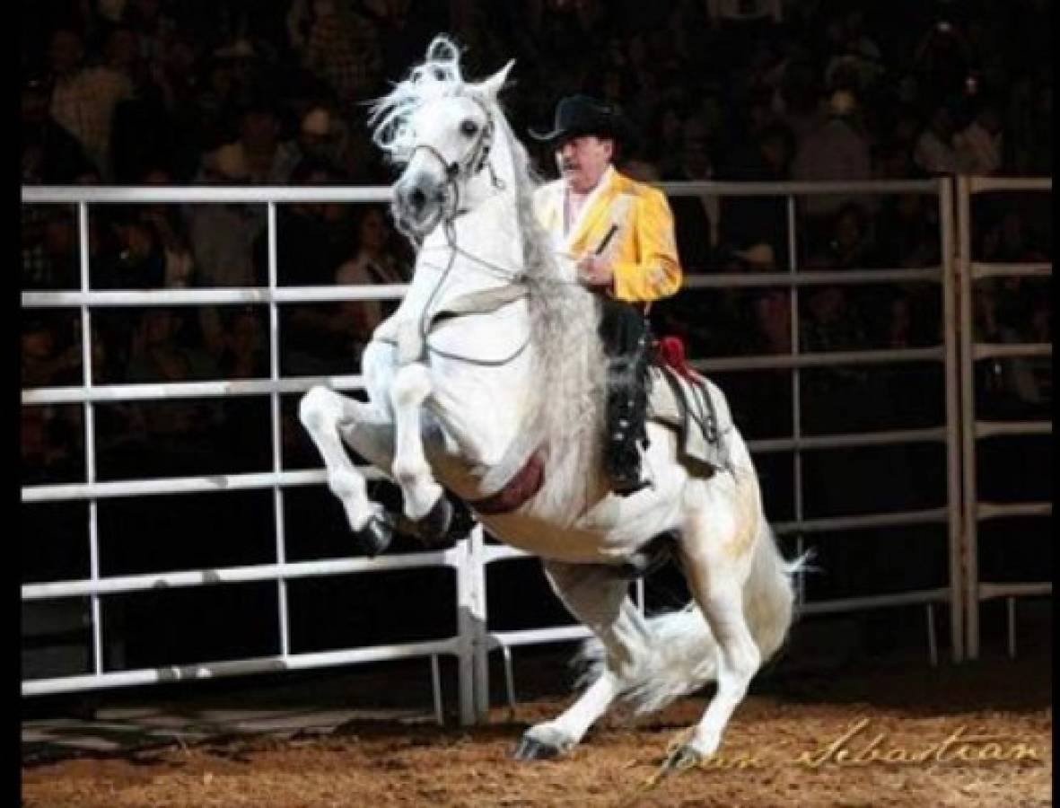 Caballo de Joan Sebastian murió cinco días antes él