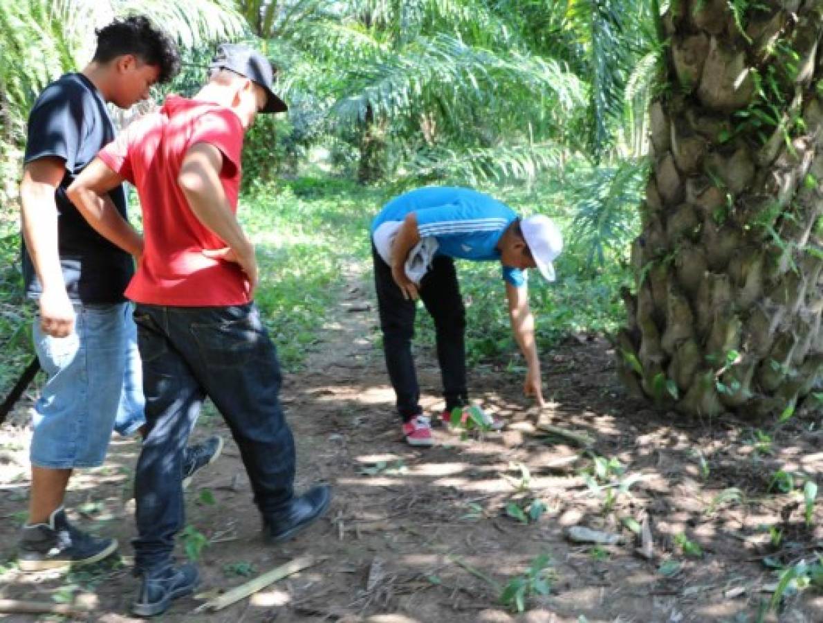 Honduras: Angustiosa búsqueda de cuatro jóvenes raptados en El Progreso