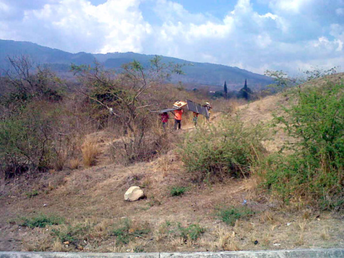 Saquean viviendas en Ciudad Mateo