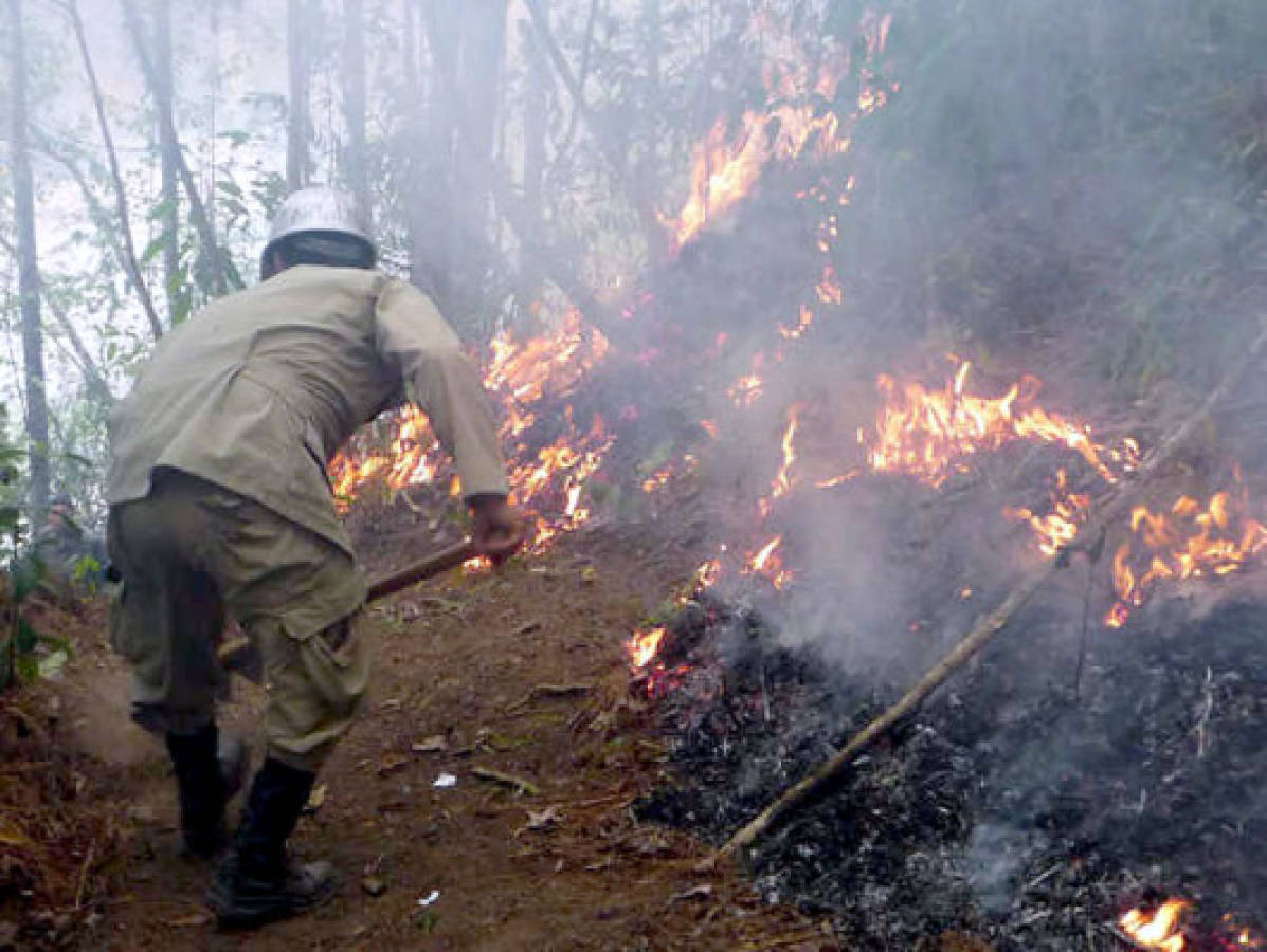 Arde la reserva biológica El Chile