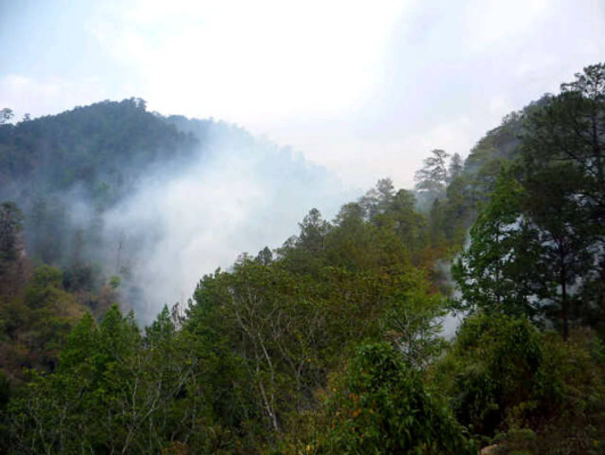 Arde la reserva biológica El Chile