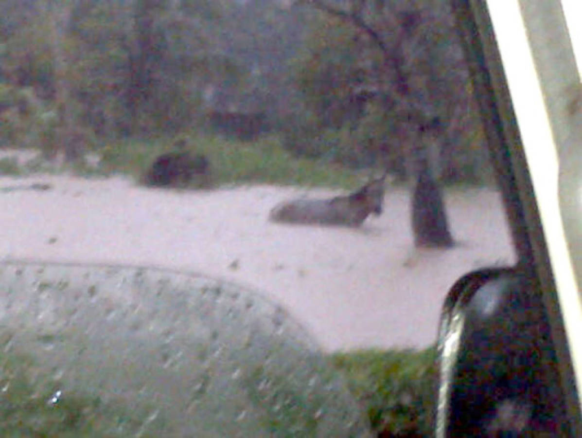 Lluvias dejan inundaciones en Tela