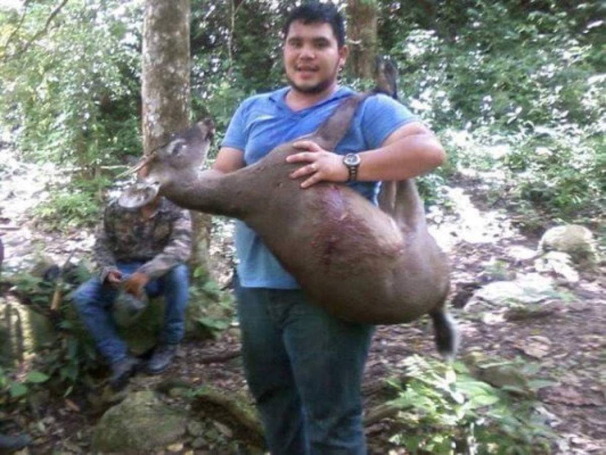 Honduras: Mata venado cola blanca y lo exhibe como trofeo