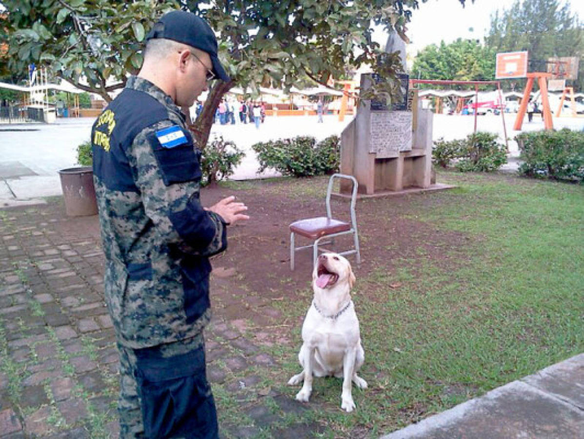 Escuadrón antibomba inspecciona el instituto San Miguel