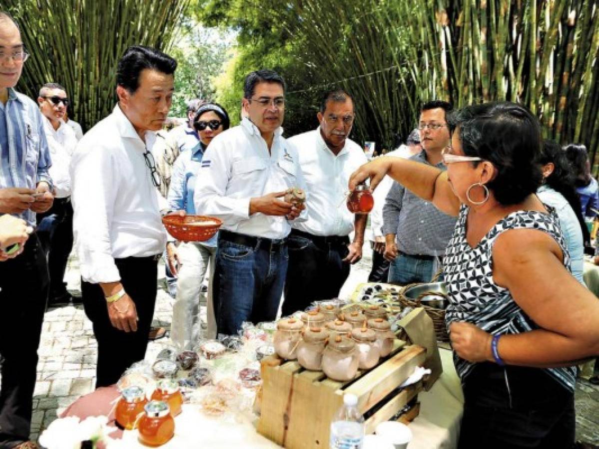 Empresas japonesas están interesadas en el cacao hondureño