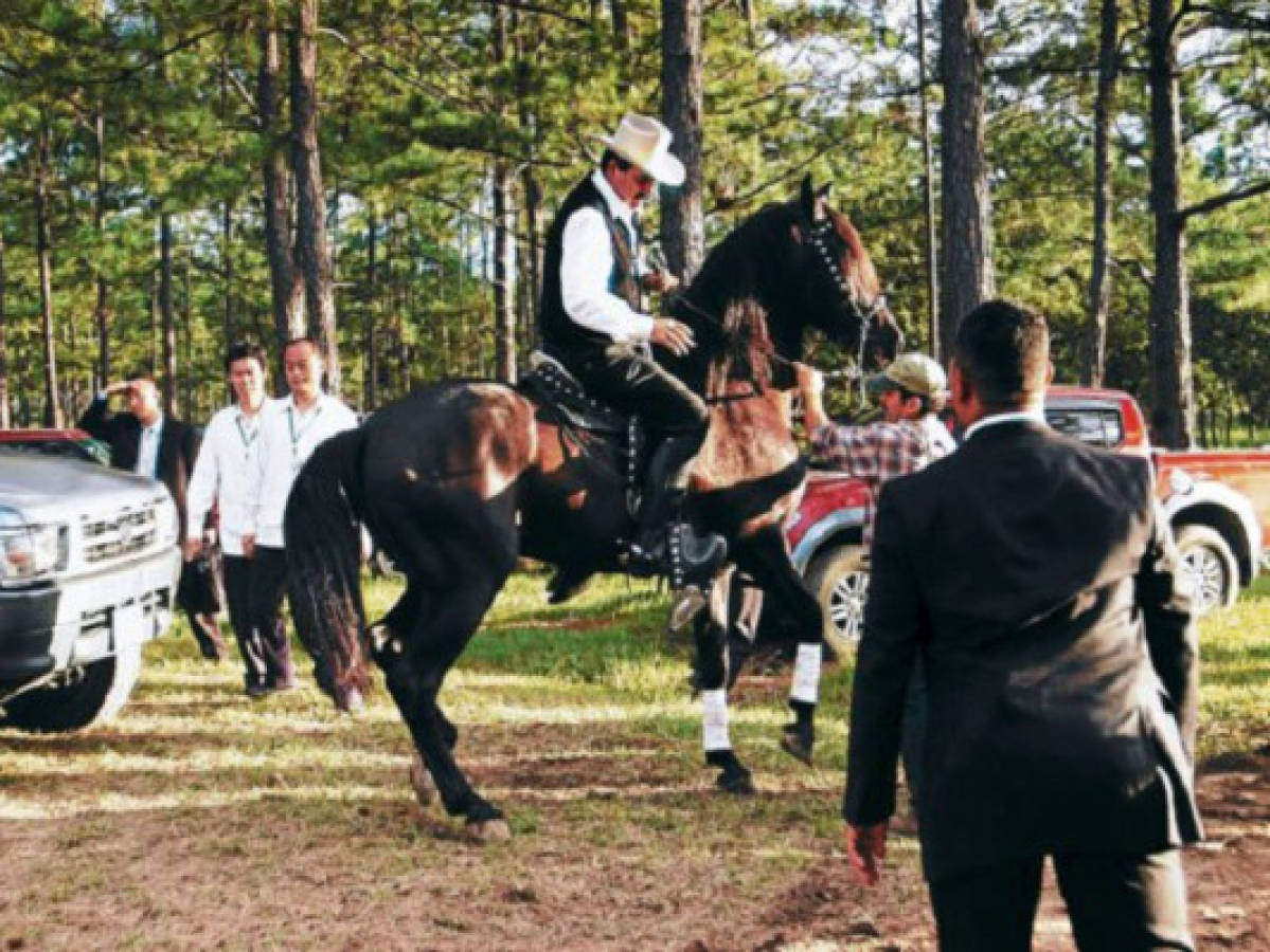 Expresidente Manuel Zelaya y Xiomara despilfarraron dinero en caballos, puros y joyas