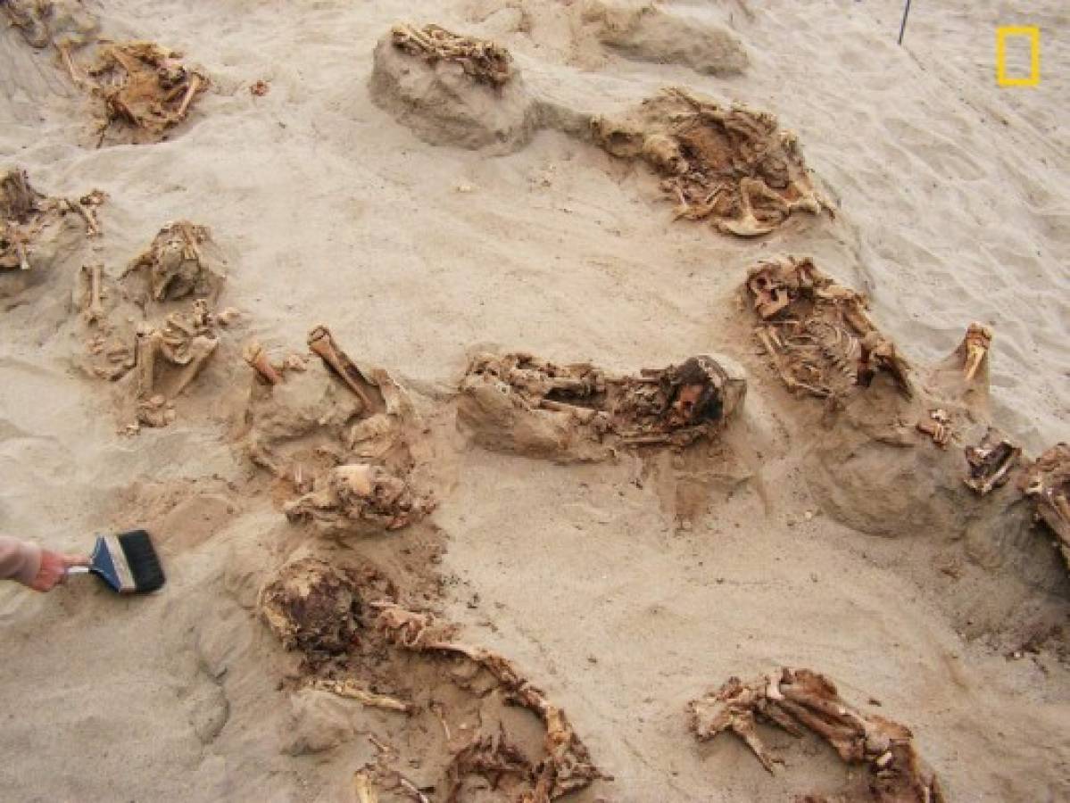 Hallan restos de 140 niños enterrados hace 550 años