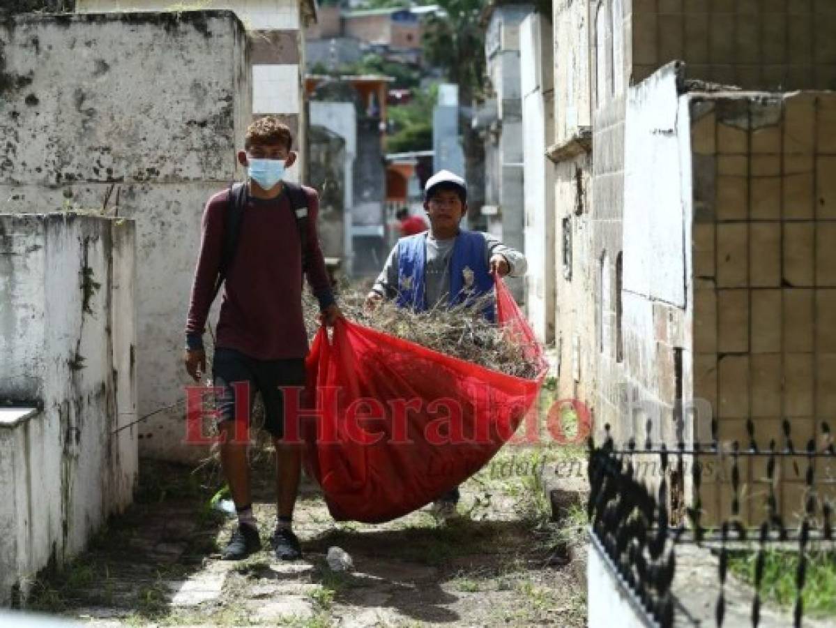 El Cementerio General, lugar donde renace la historia en la capital