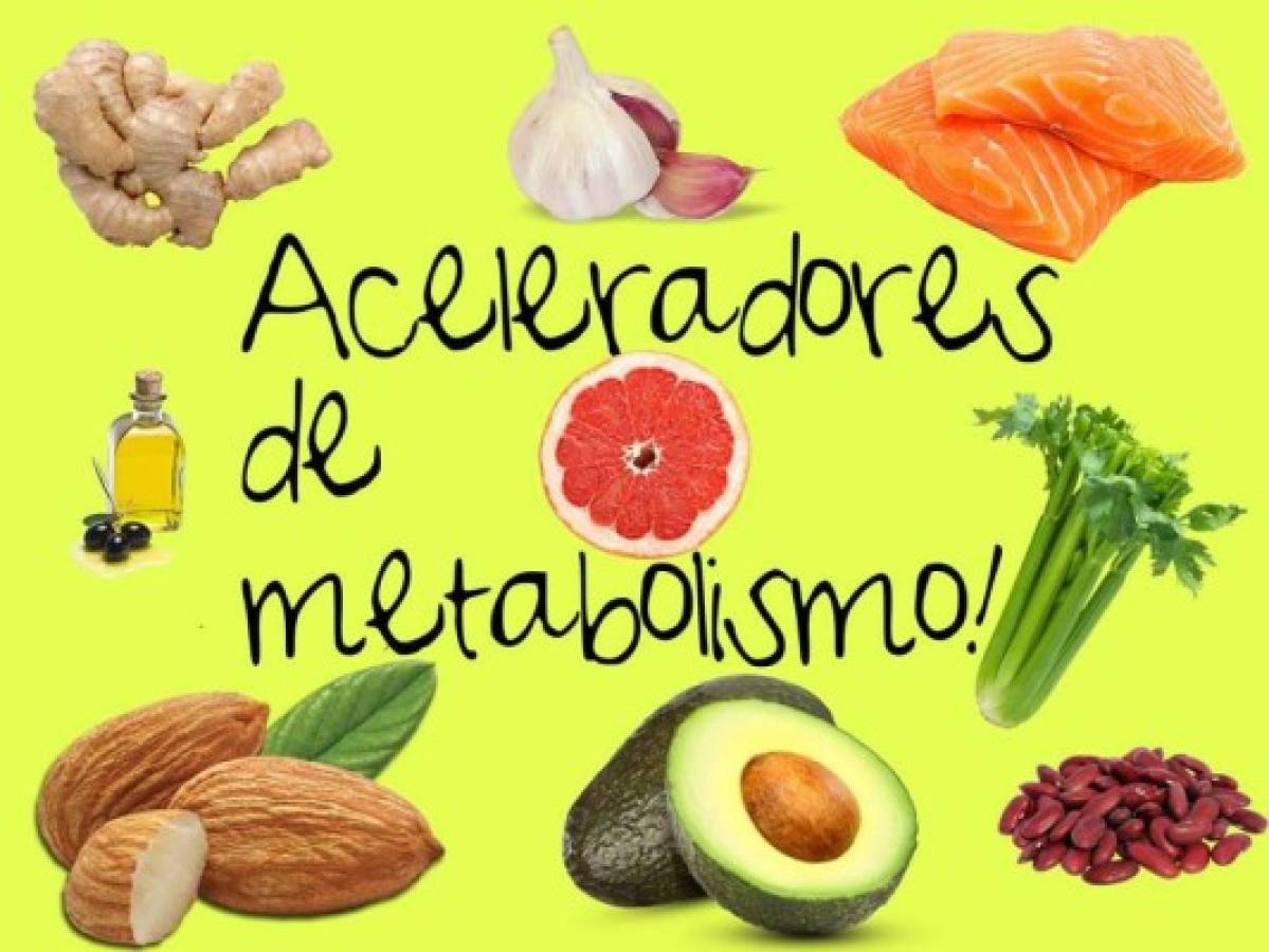 Alimentos que acelera el metabolismo