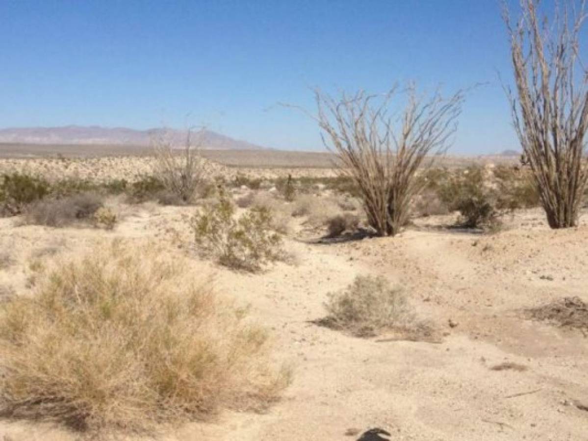 Acusan a pareja de castigar a niños enviándolos a desierto