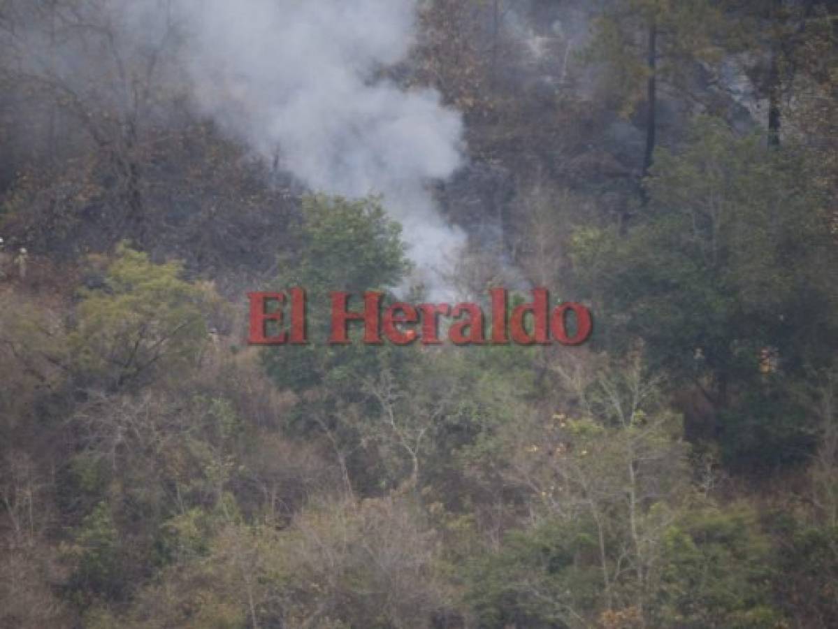 Incendio amenaza bosques de aldea El Carpintero 