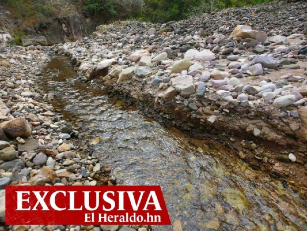 Este es el cauce del río Sabacuante, que alimenta la planta de tratamiento de Miraflores.