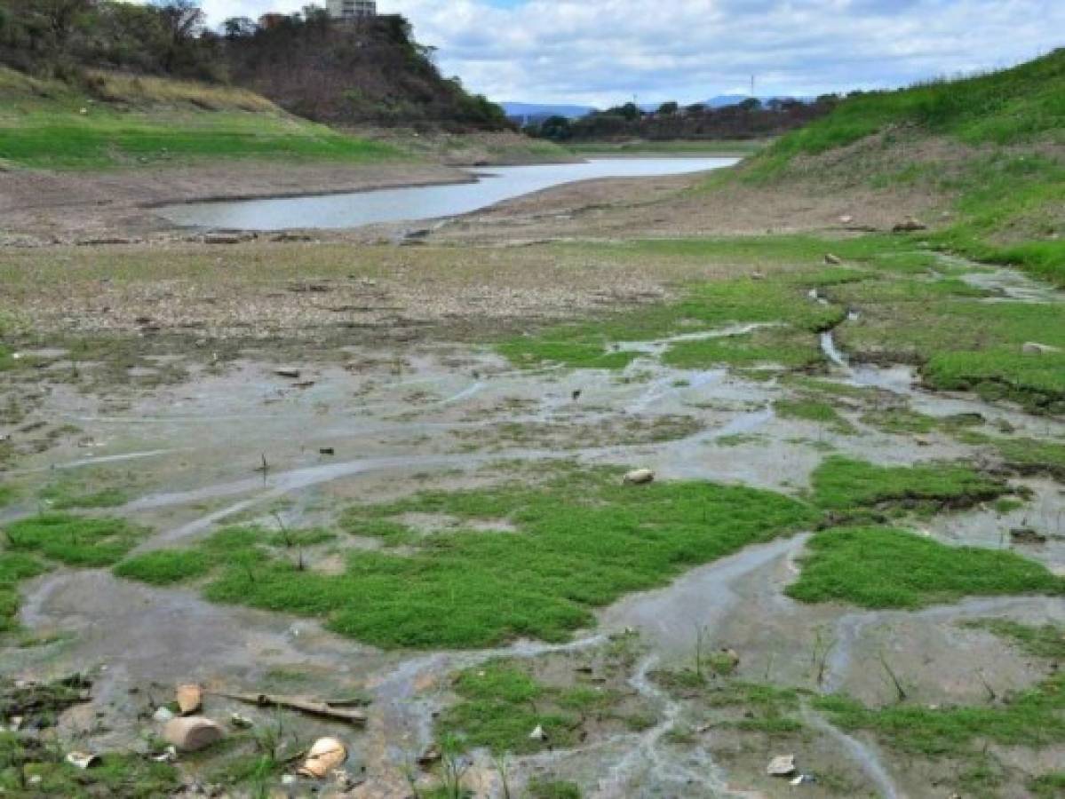 Calendario: ¿Qué días llegará el agua a tu barrio o colonia?