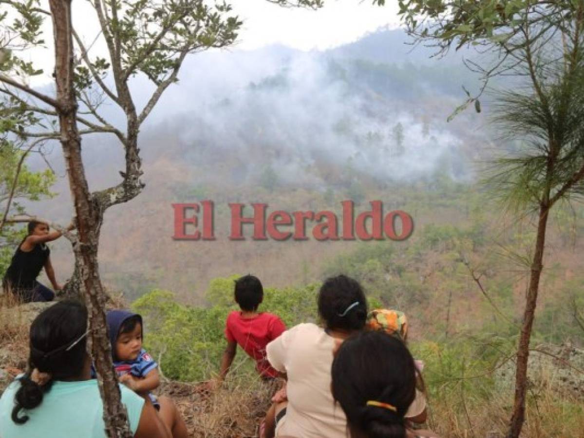 Incendio amenaza bosques de aldea El Carpintero 