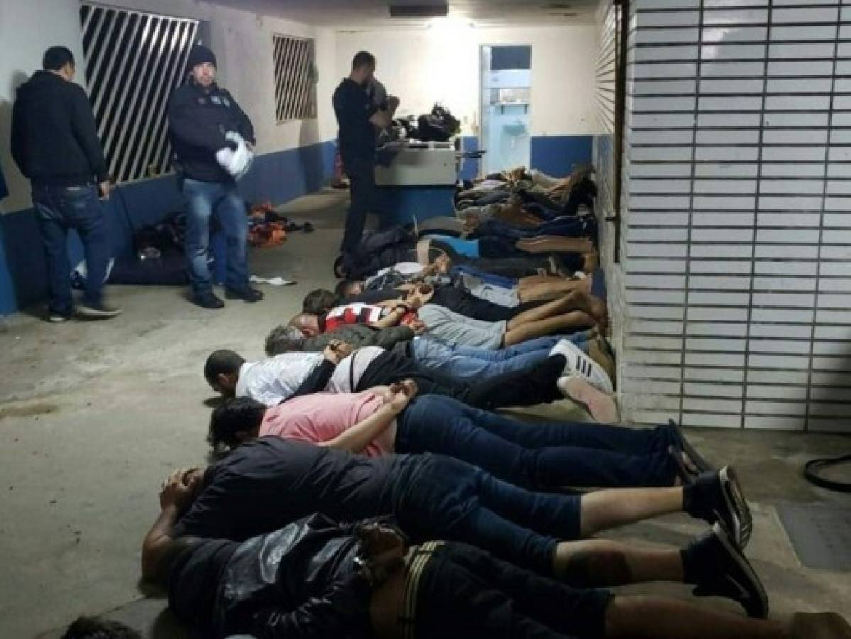 Brasil: Capturan red de peleas de perros; servían carne de pitbulls asada 