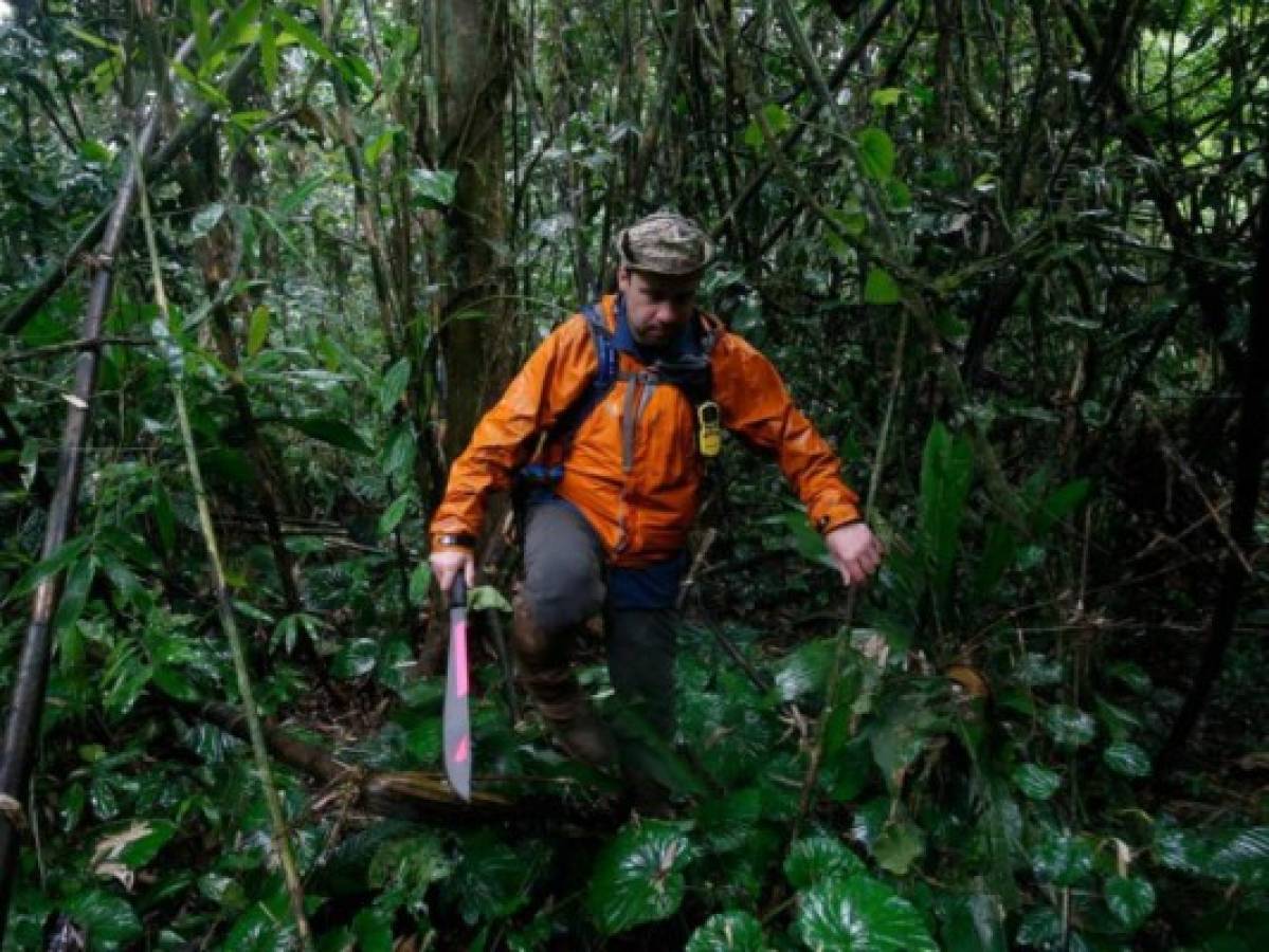 En travesía por La Mosquitía, exploradores de Nat Geo se contagiaron de Leishmaniasis