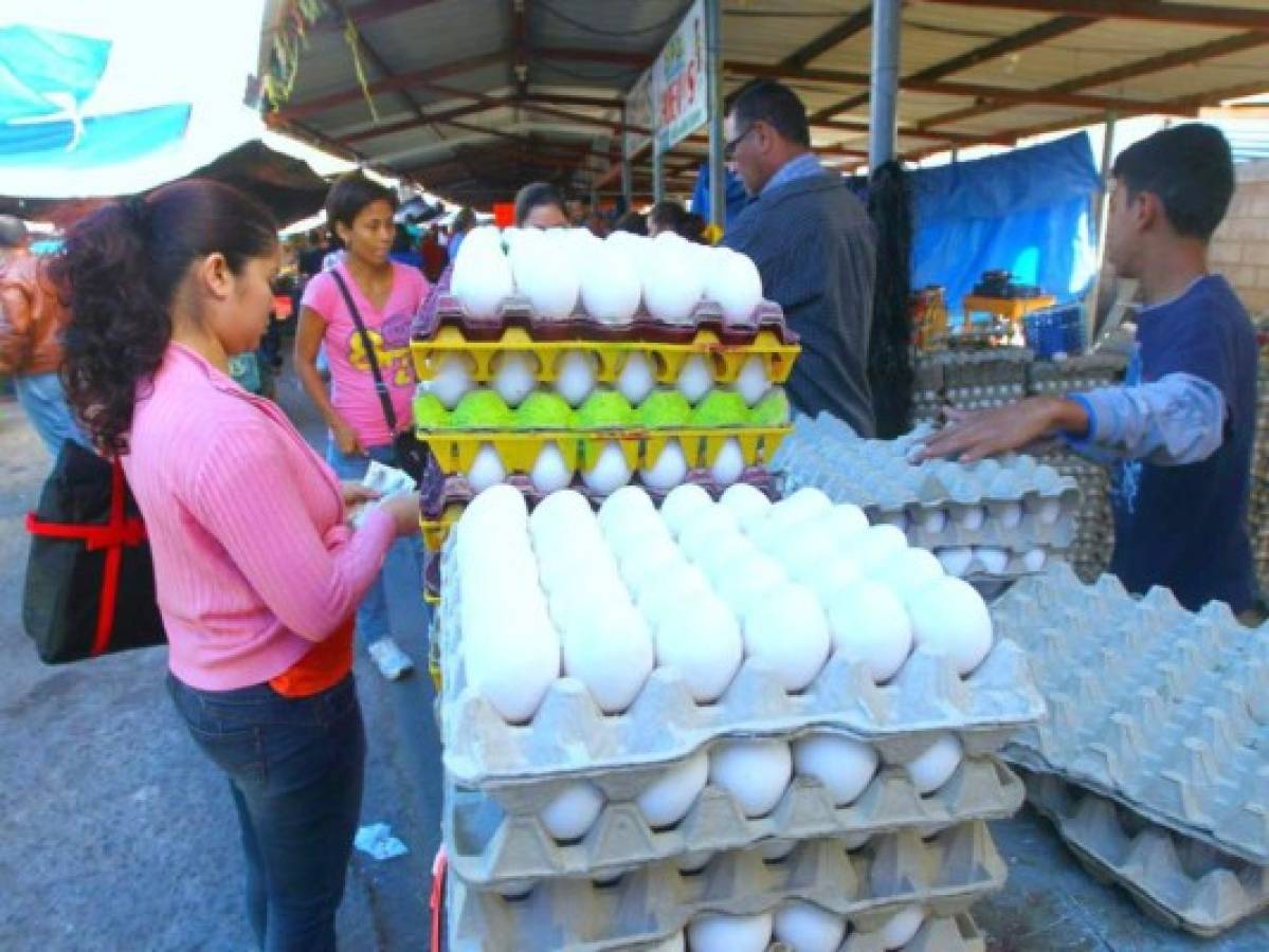 Honduras: Protección al Consumidor realizará operativos por incremento al cartón de huevos