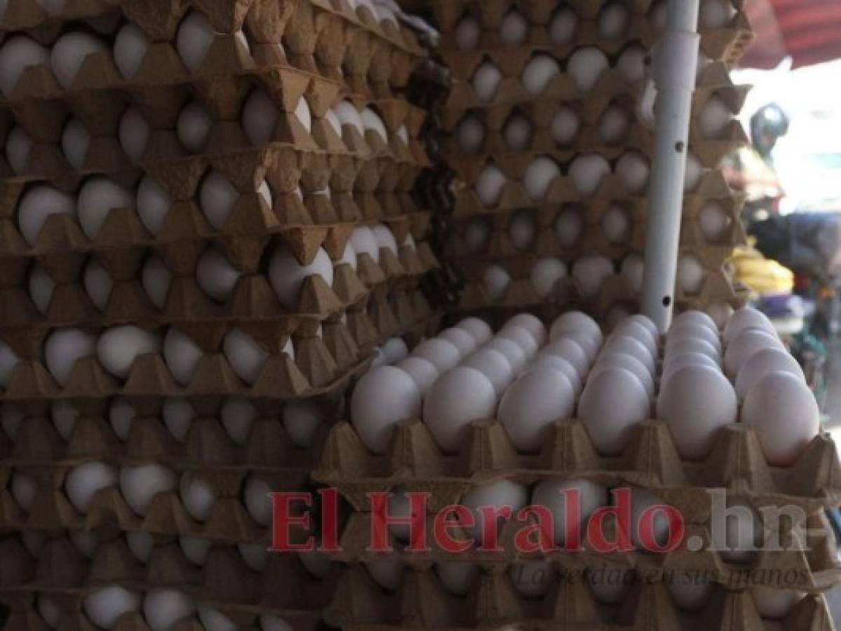 Desautorizan aumento al precio del cartón de huevos en el país