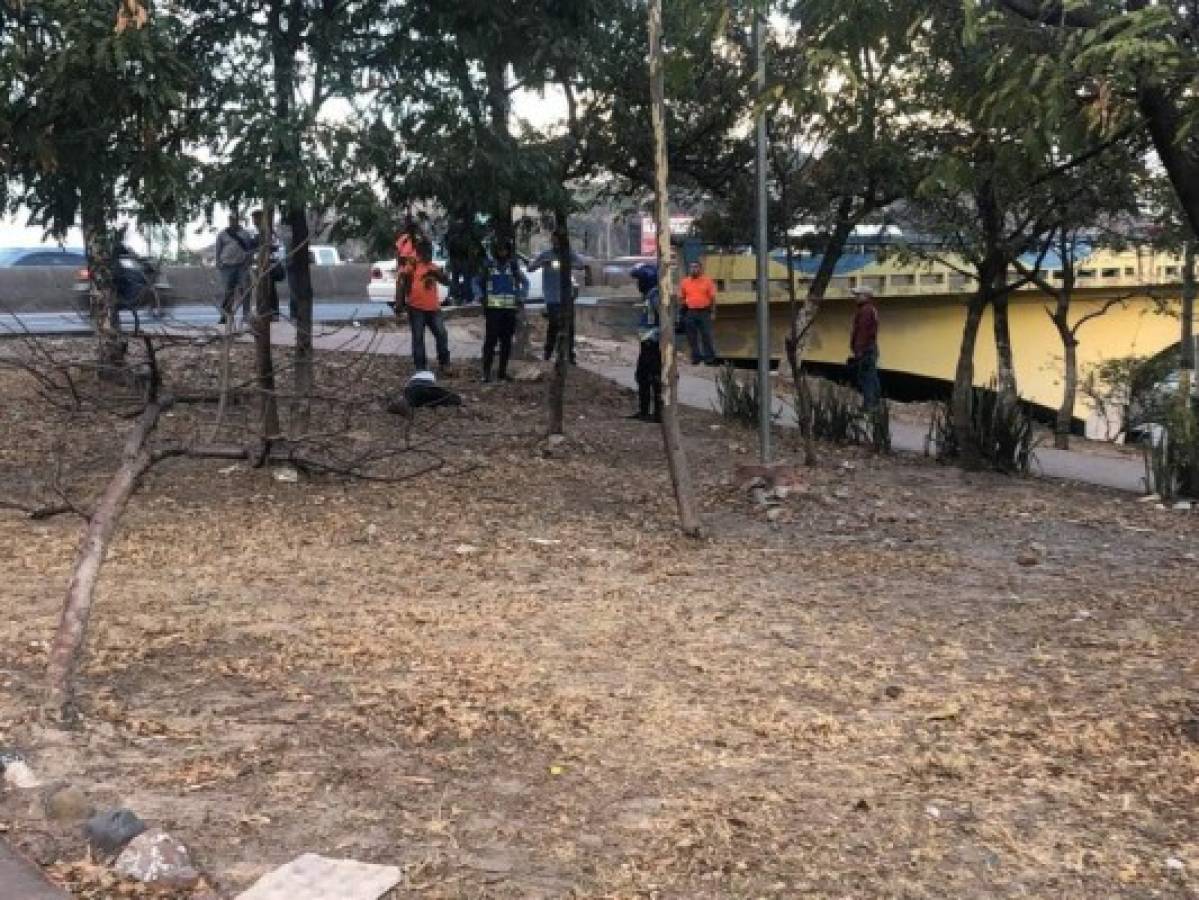 Hallan adulto mayor muerto en el bulevar Fuerzas Armadas