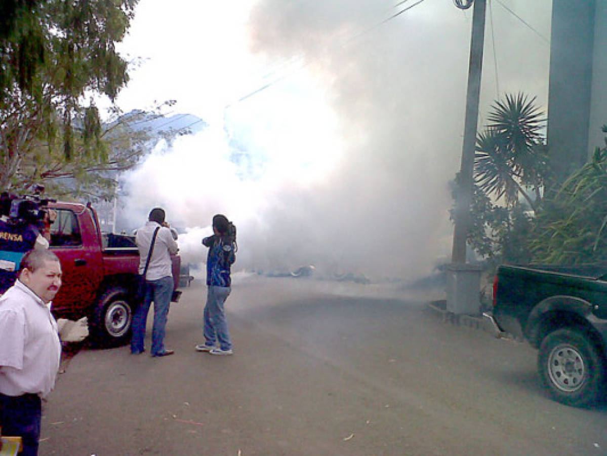 Destinan 40 millones para la lucha contra el dengue