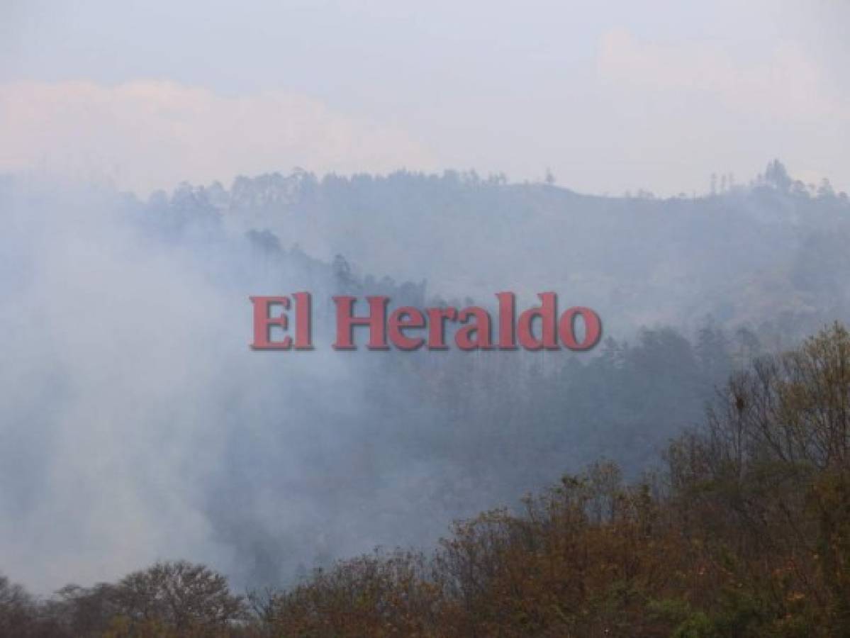 Incendio amenaza bosques de aldea El Carpintero 