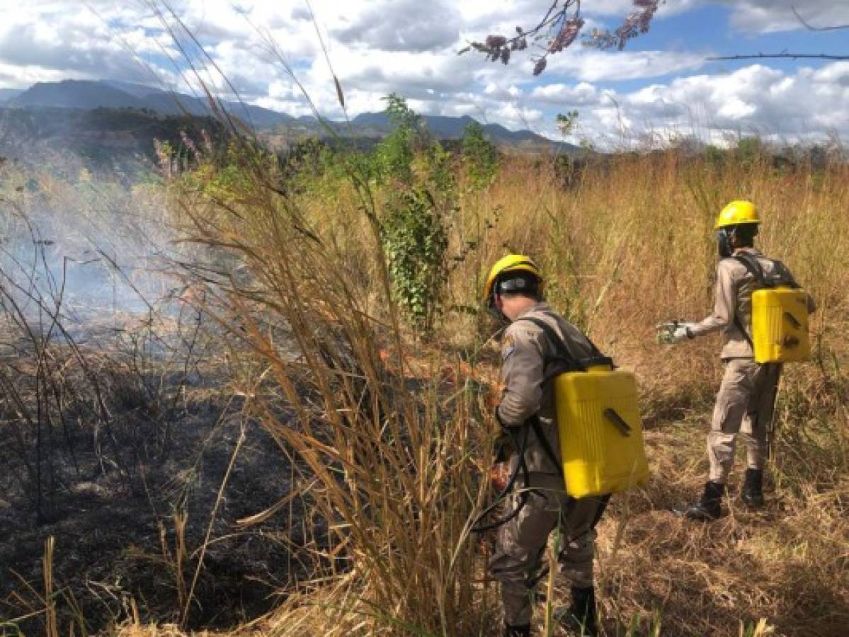 En una hora el fuego acabó con el sustento de 20 familias