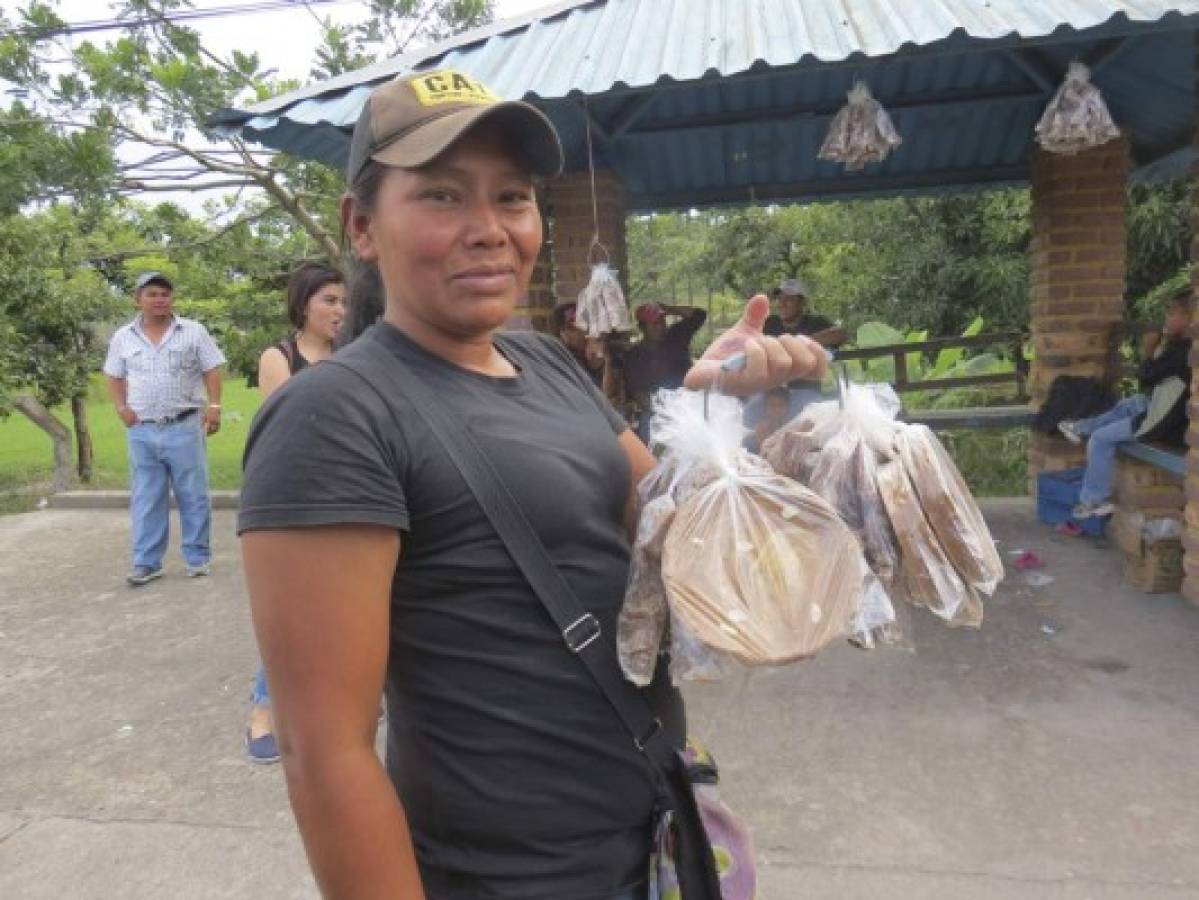 Taulabé y San José conforman la tierra del dulce de panela