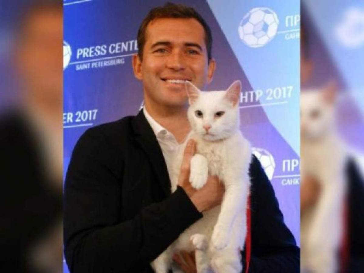 En la Copa Confederaciones, el gato Achilles predeciría los resultados