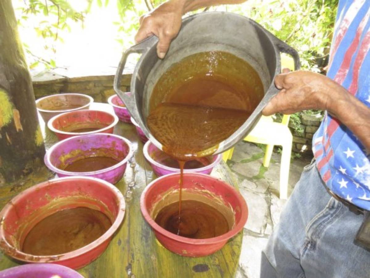 Taulabé y San José conforman la tierra del dulce de panela