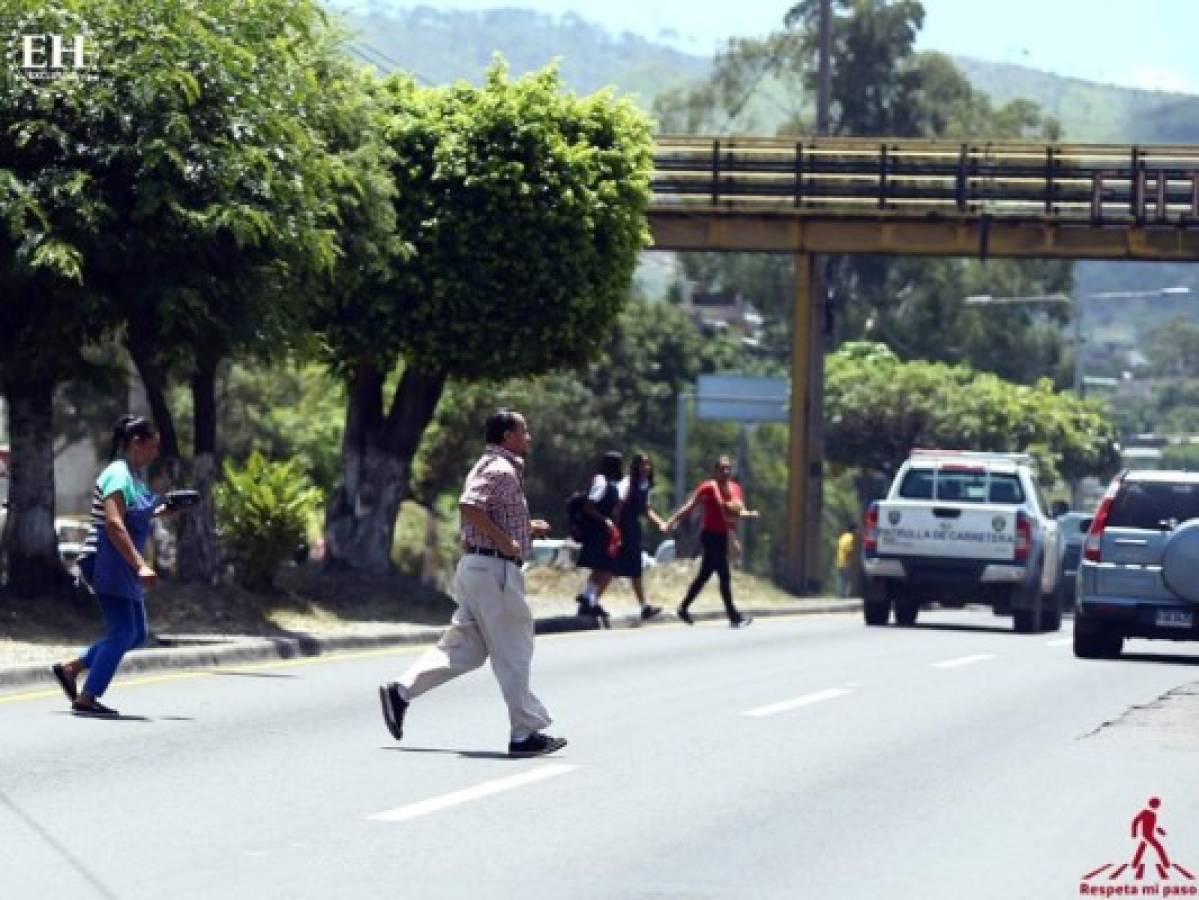 Hombres, ancianos y en la noche: análisis de las muertes por atropellamiento en la capital