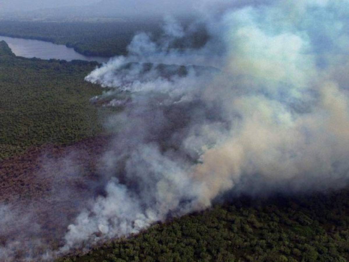 Apagan voraz incendio en Parque Nacional Jeannette Kawas