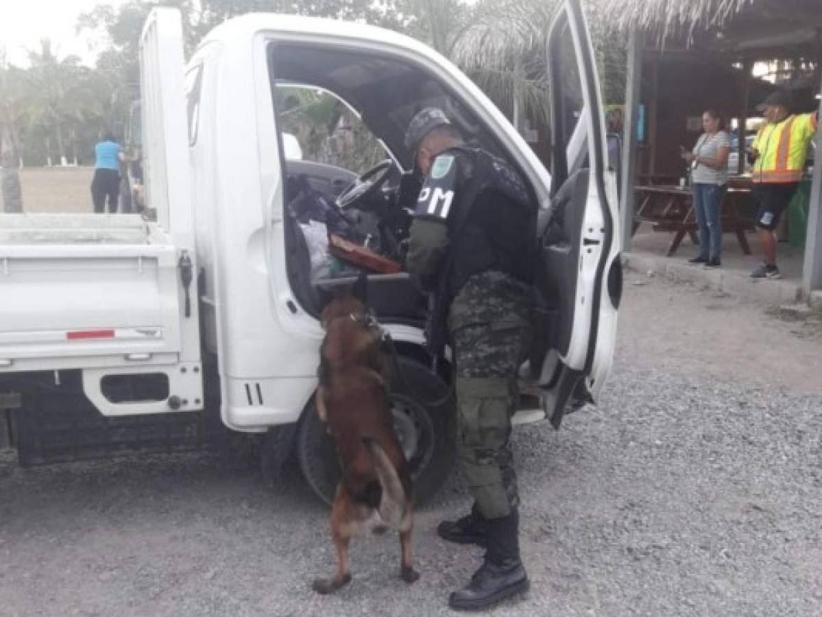 Cae hombre que llevaba cinco kilos de cocaína dentro de una mochila en Atlántida