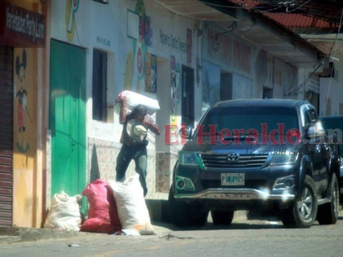 Una fortificada economía mueve el diario vivir de El Paraíso, Copán