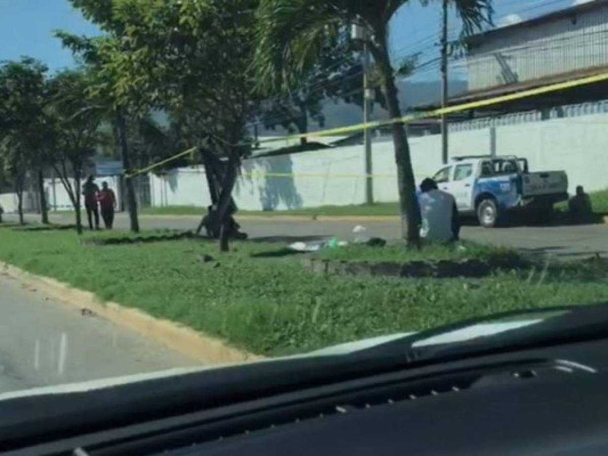 Muere motociclista al estrellarse contra un árbol en San Pedro Sula