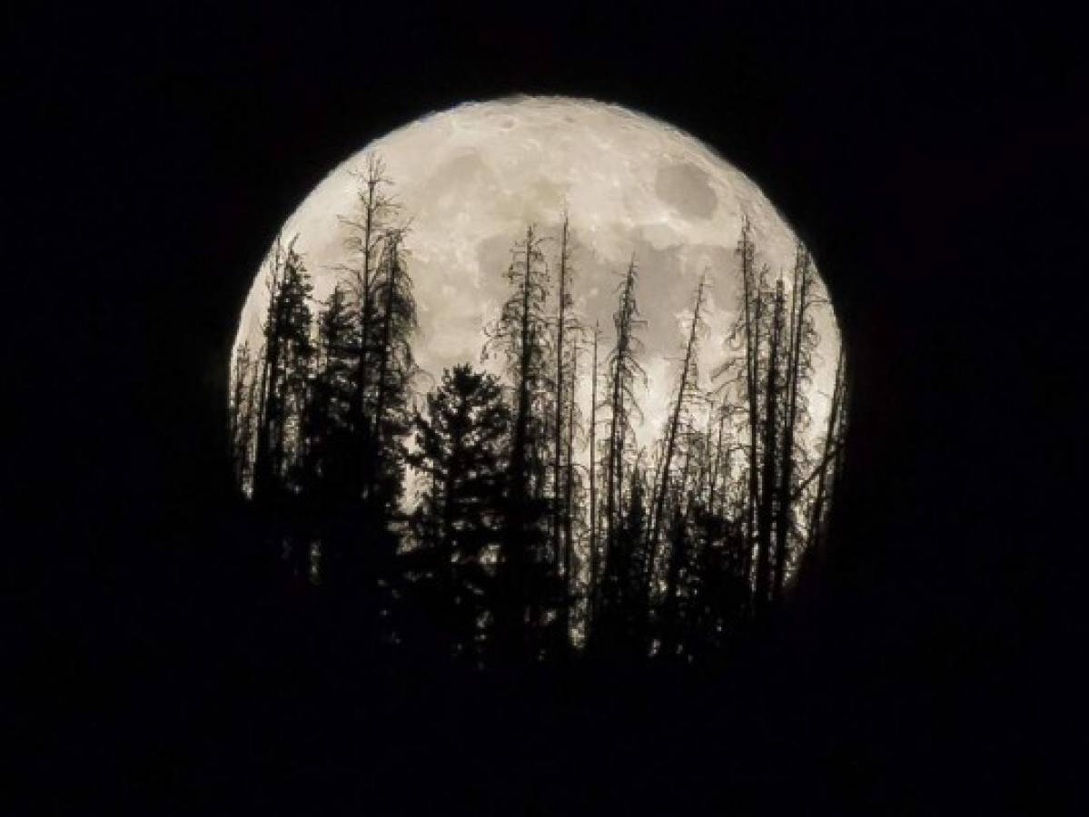 La Superluna rosa de abril que iluminará el cielo