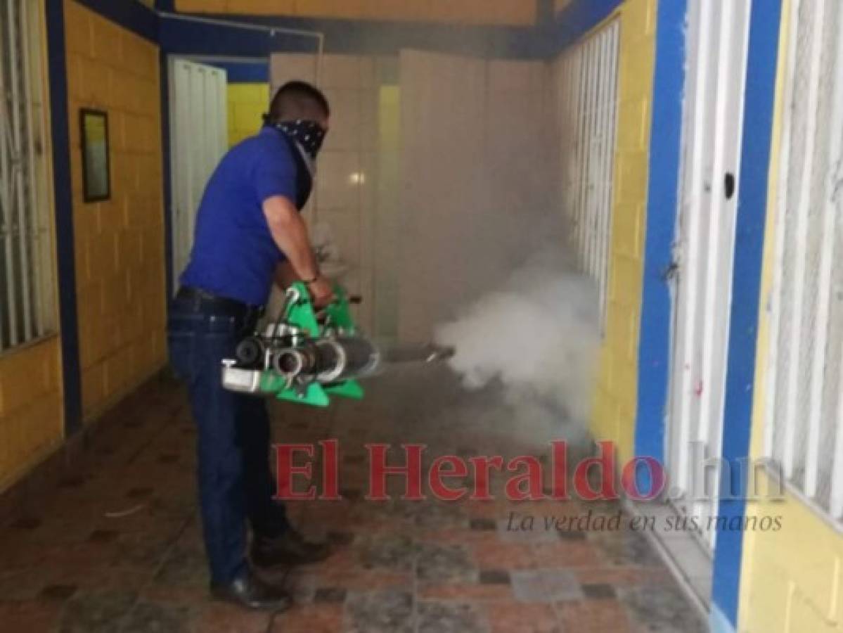 Ocho municipios de Choluteca están en vigilancia por dengue