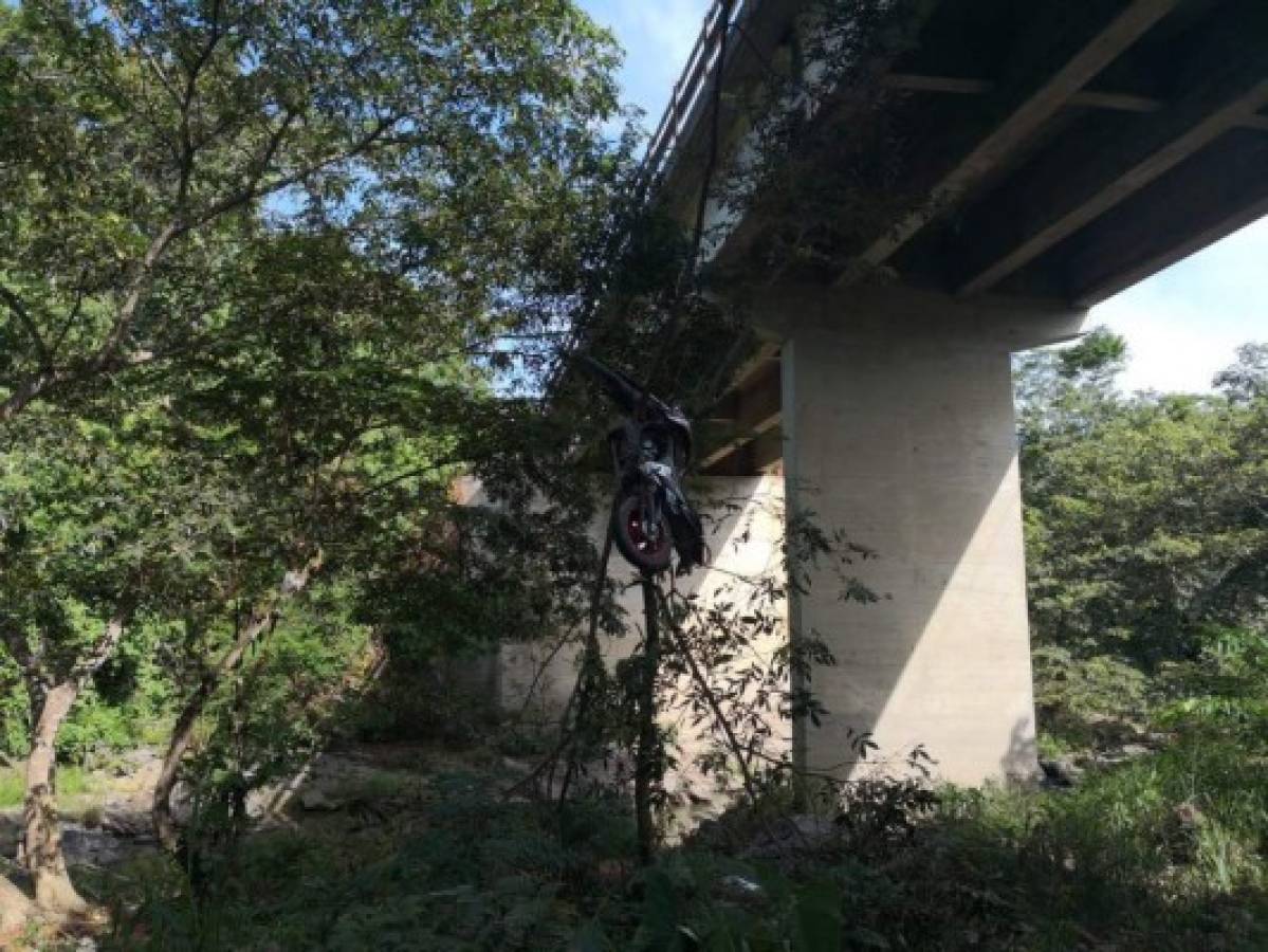 La motocicleta quedó atrapada entre las débiles ramas de un árbol. Foto cortesía Twitter