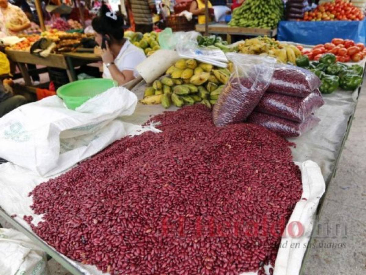 Medida de frijol rojo aumenta a 70 lempiras en mercados capitalinos