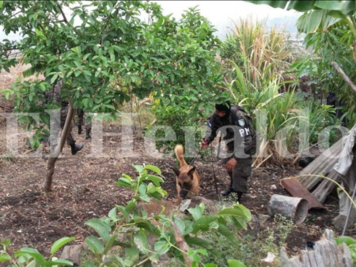 Honduras: Al menos 25 capturas deja operación 'Tornado' este miércoles