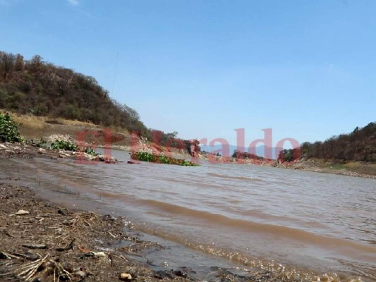 Primer filtro: los guardianes que 'limpian' y protegen el agua de los capitalinos en la represa Los Laureles