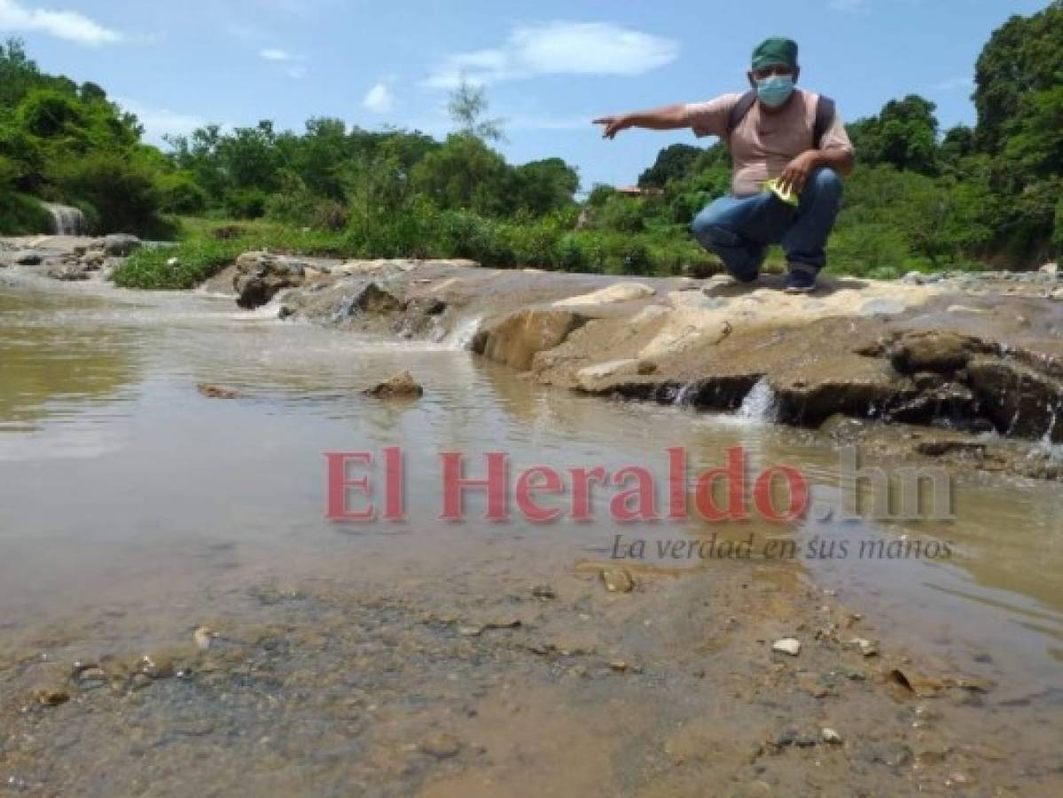 Los vecinos de la zona hacen un llamado a las autoridades para encontrarle una solución a esta problemática. Foto: EL HERALDO