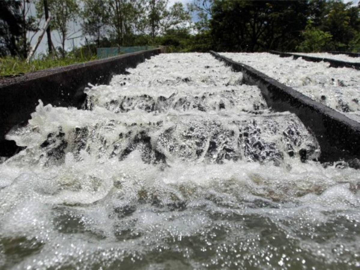 SANAA anuncia nueva calendarización de distribución de agua para este mes