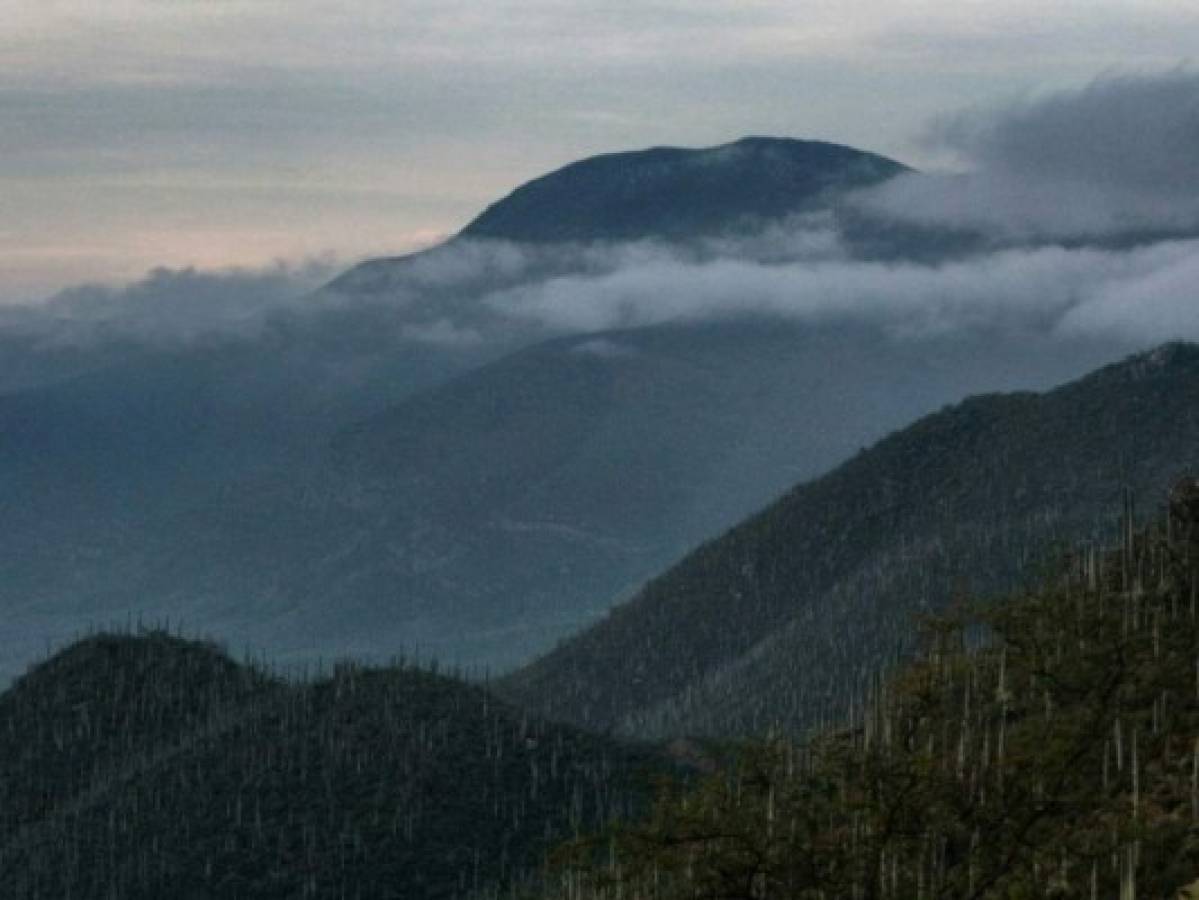 Valle de Tehuacán-Cuicatlán de México, declarado Patrimonio de la Humanidad